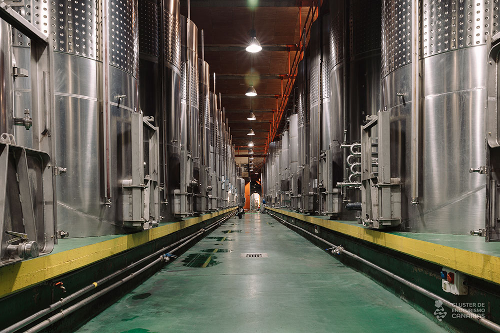 Interior de la bodega